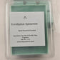 Handcrafted Eucalyptus Wax Melts for Relaxation