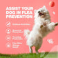 Dog Flea & Tick Prevention Chews – Natural Soft Treats