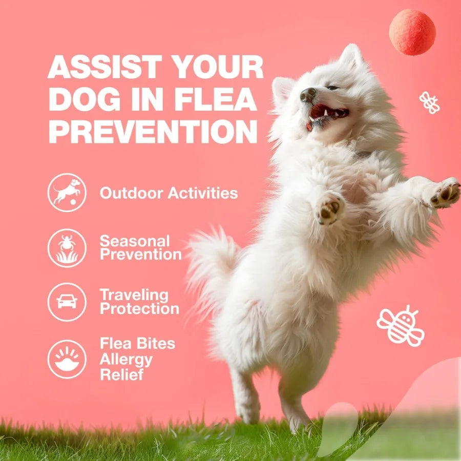 Dog Flea & Tick Prevention Chews – Natural Soft Treats