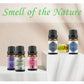 500ML Aromatherapy Oil Diffuser + 6 Essential Oils Gift Set