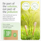 10-Pack Biodegradable Bamboo Toothbrushes – Eco-Friendly & Compostable Wooden Toothbrushes