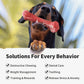 Durable Dog Chew Toys for Aggressive Chewers – Natural Rubber Teeth-Cleaning Toy