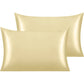 2 Pack Satin Pillowcases – Soft, Cooling & Skin-Friendly