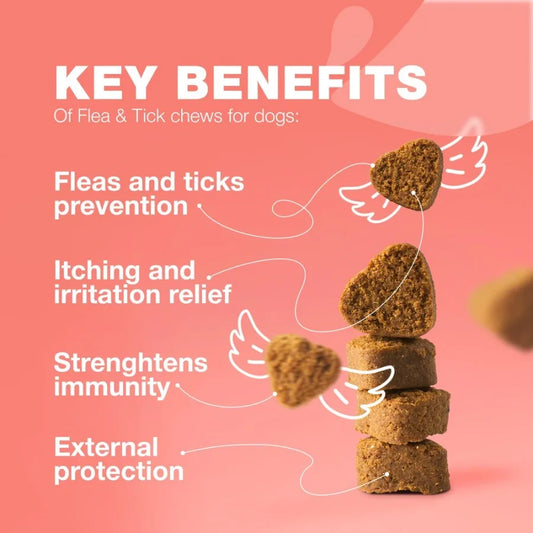 Dog Flea & Tick Prevention Chews – Natural Soft Treats