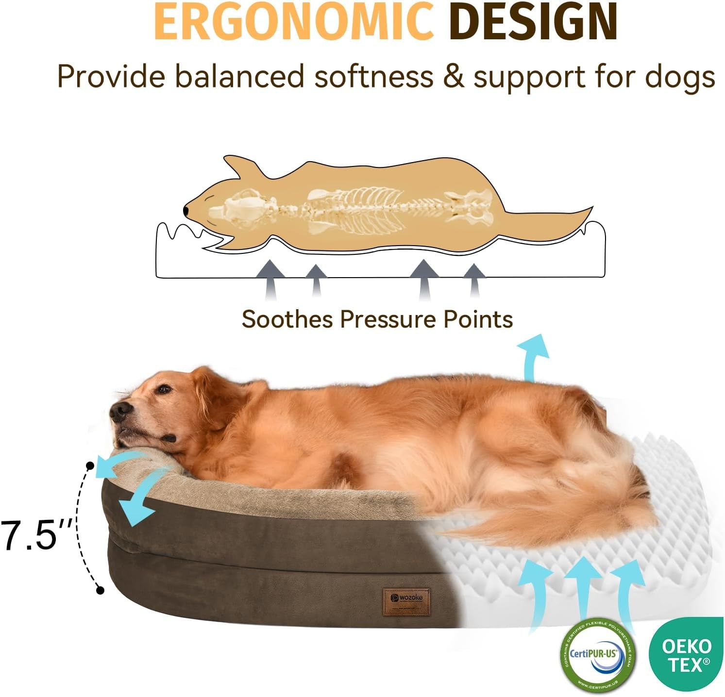 PawLuxe™ XL Orthopedic Dog Bed – Waterproof Memory Foam with Bolsters (Coffee)